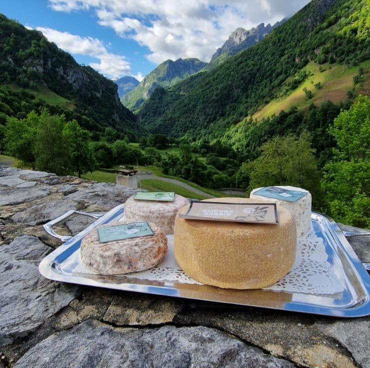 Chateau D'Arance Hotel Restaurant Espace Bien-Etre Cette-Eygun 외부 사진